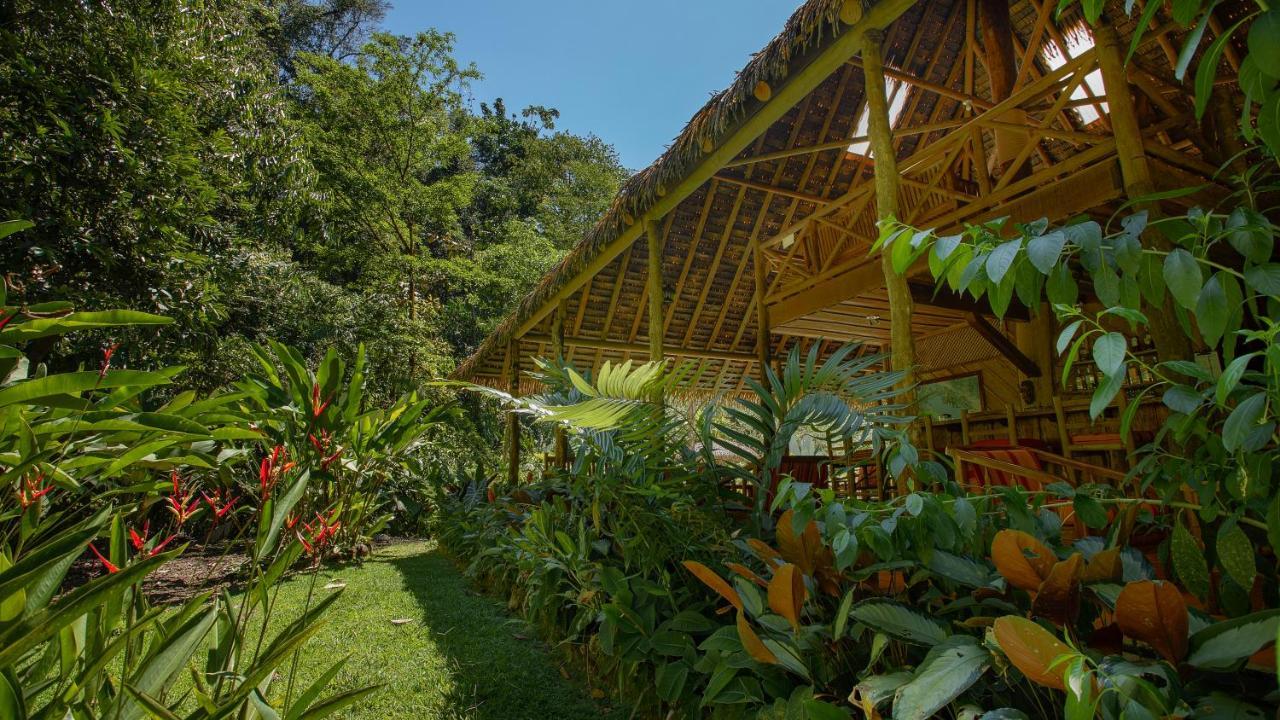 Esquinas Rainforest Lodge Golfito Exterior foto