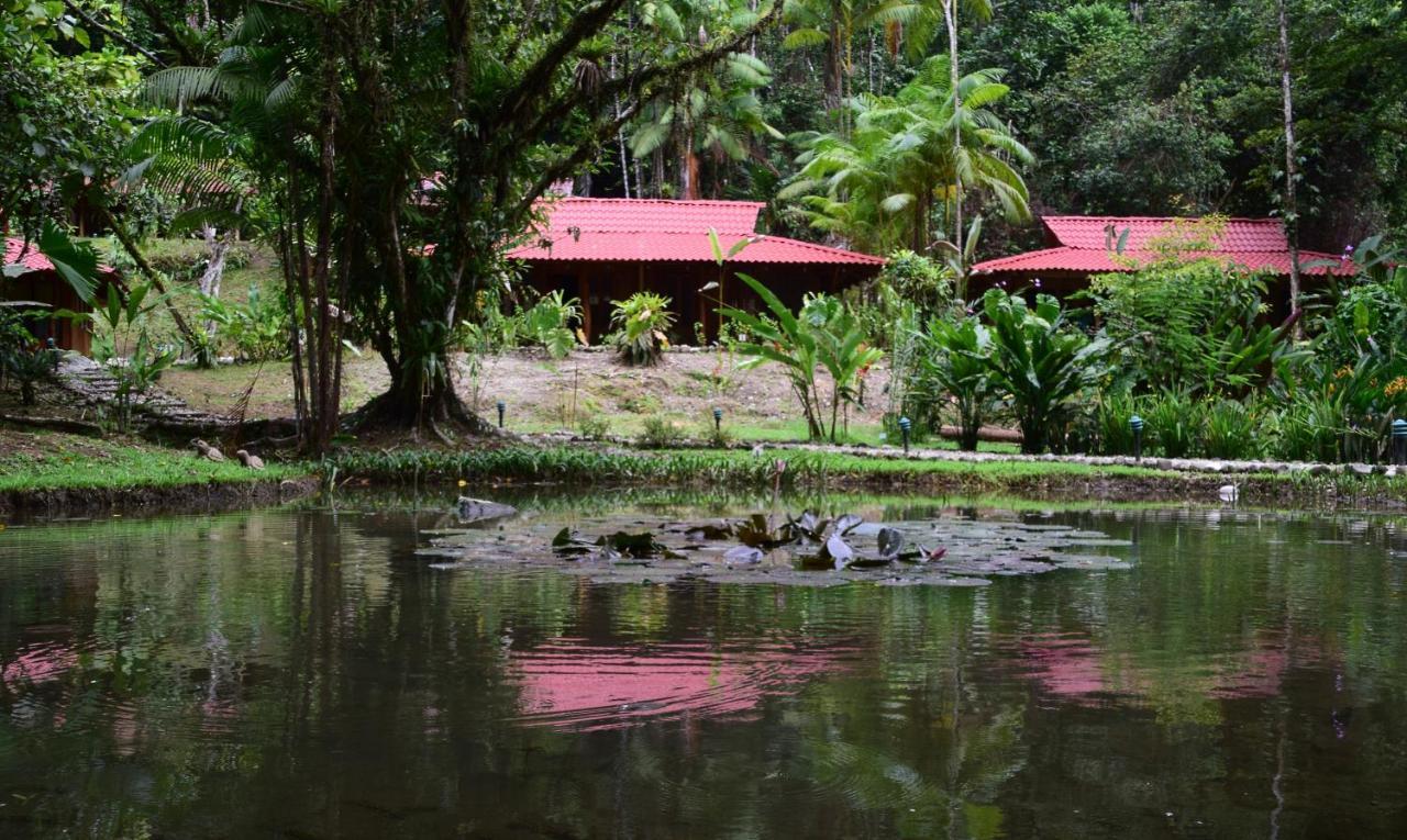 Esquinas Rainforest Lodge Golfito Exterior foto