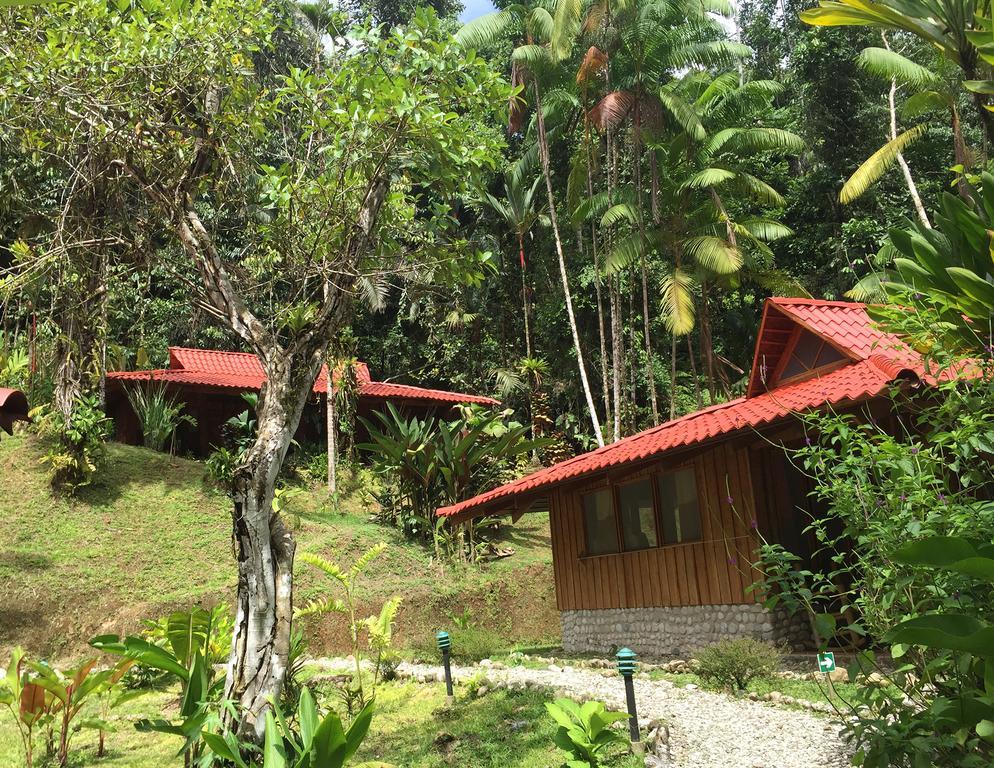 Esquinas Rainforest Lodge Golfito Exterior foto