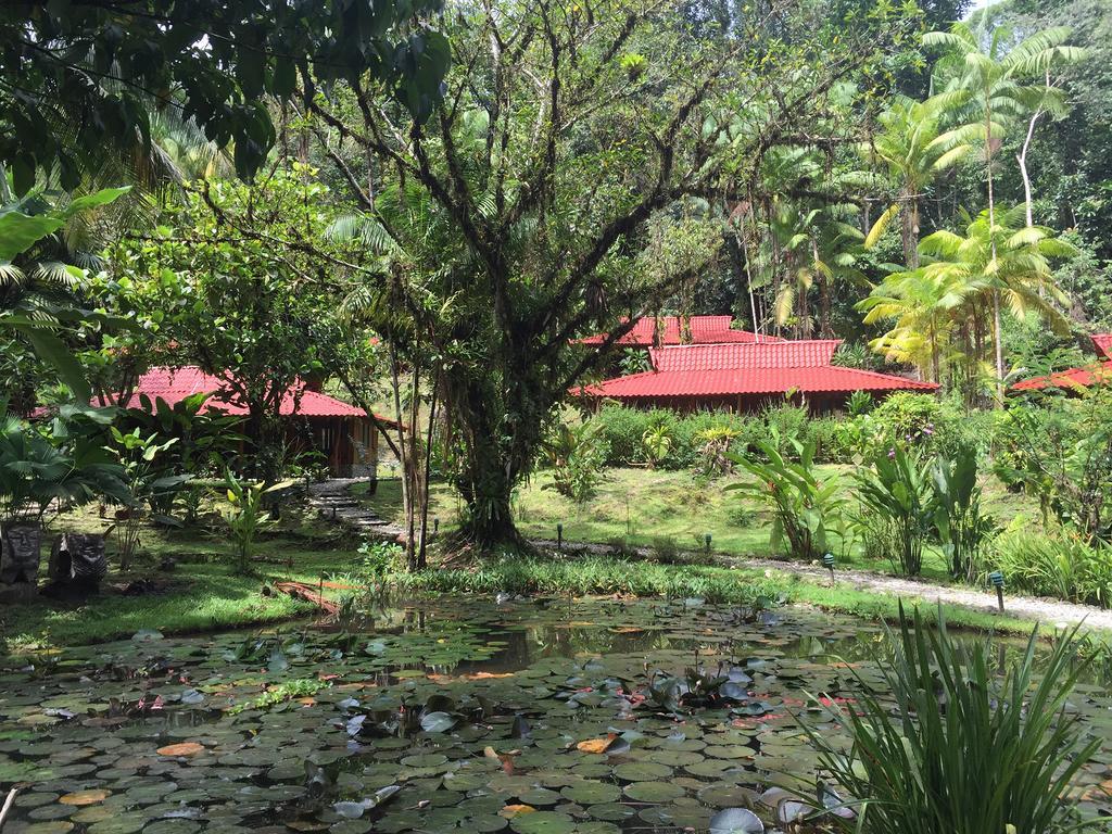 Esquinas Rainforest Lodge Golfito Exterior foto