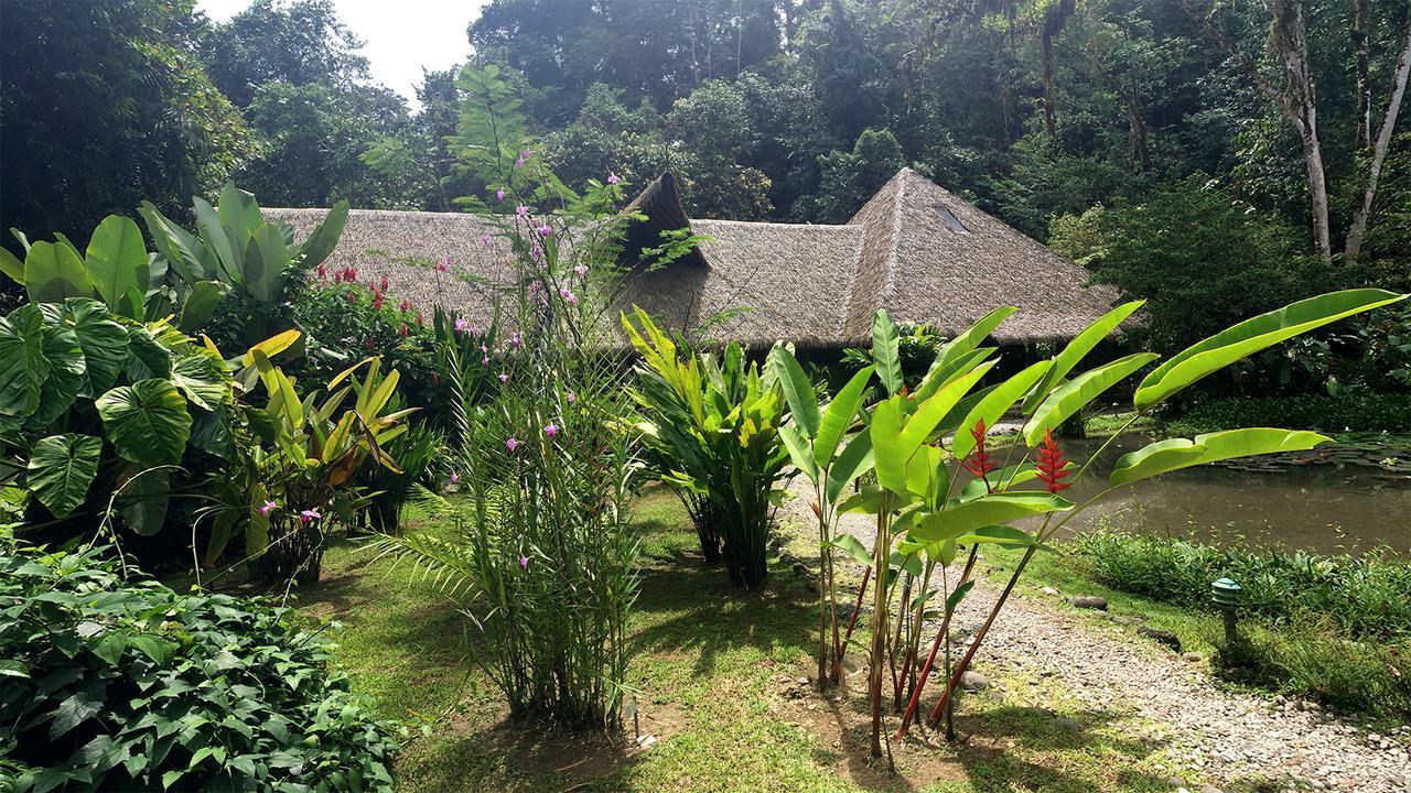 Esquinas Rainforest Lodge Golfito Exterior foto