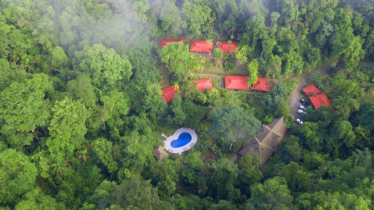 Esquinas Rainforest Lodge Golfito Exterior foto