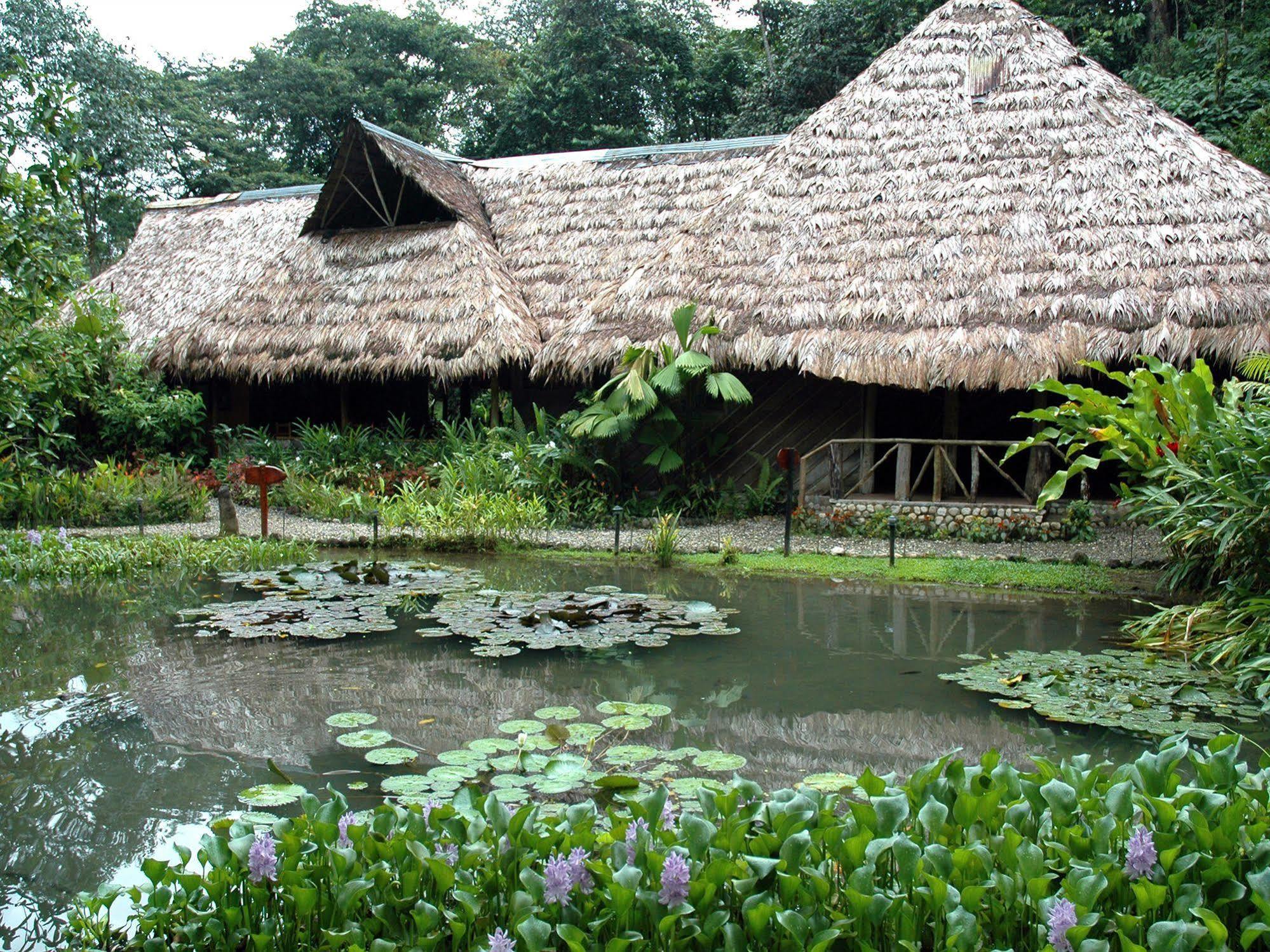 Esquinas Rainforest Lodge Golfito Exterior foto
