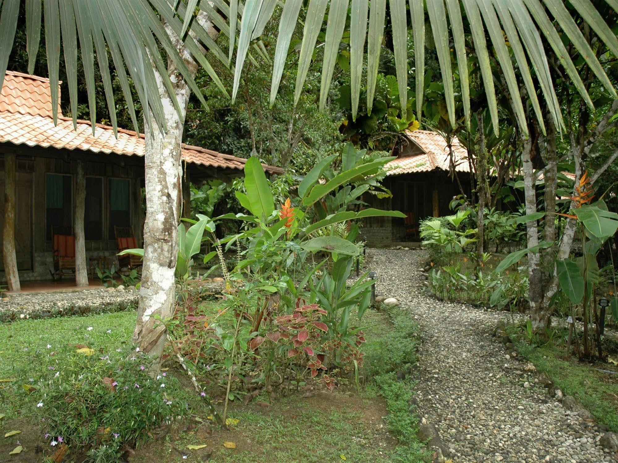 Esquinas Rainforest Lodge Golfito Exterior foto