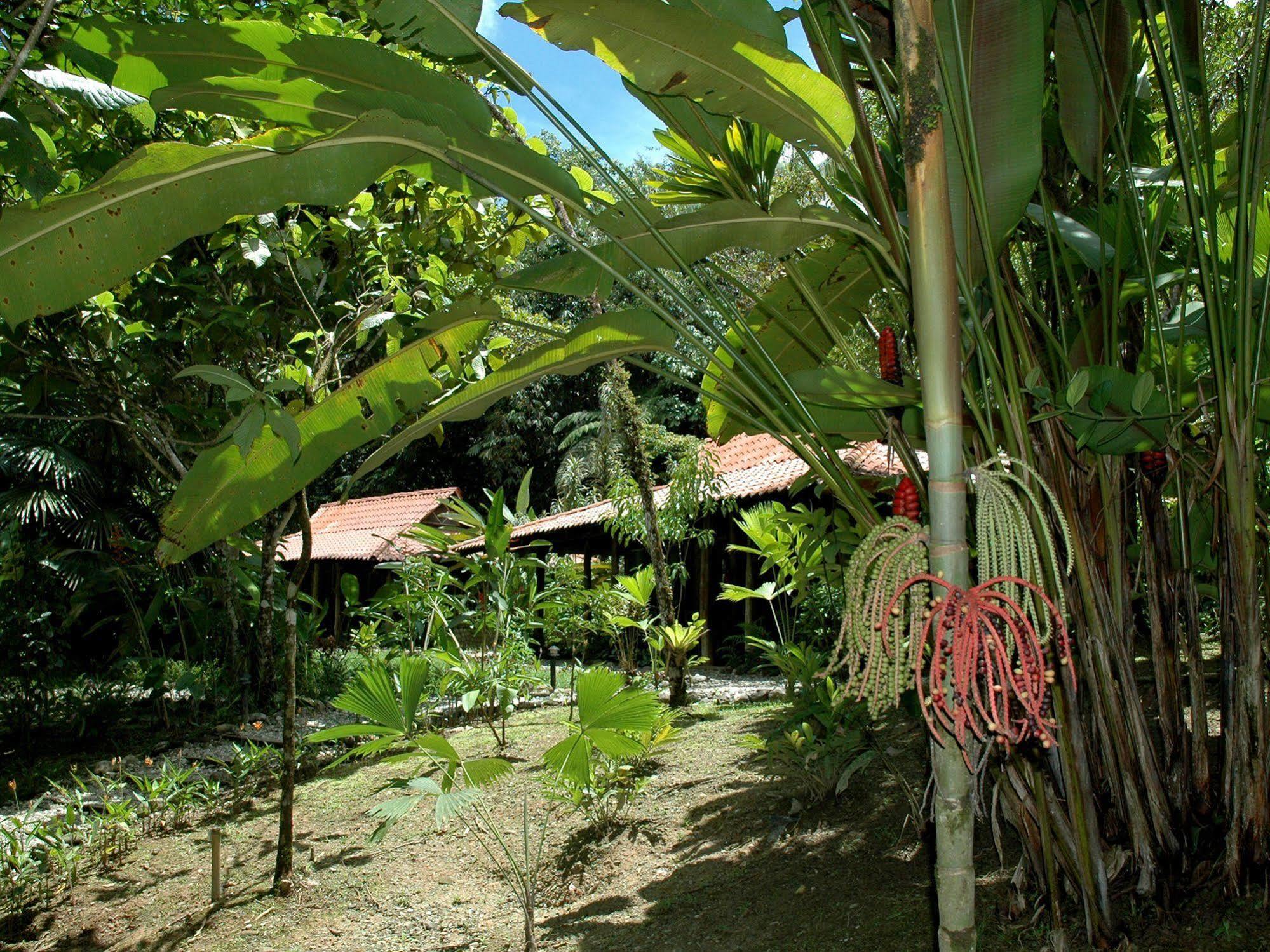 Esquinas Rainforest Lodge Golfito Exterior foto