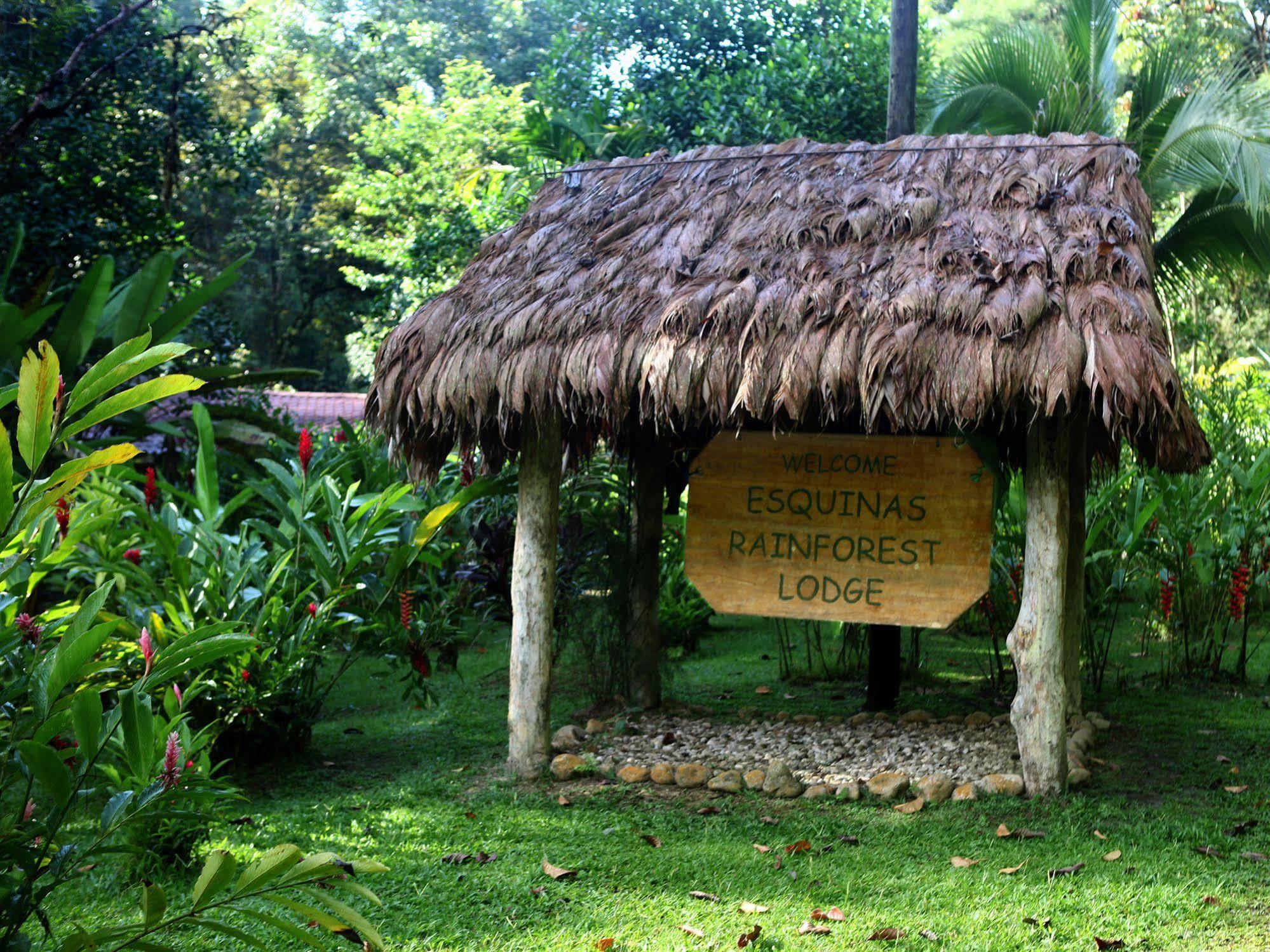 Esquinas Rainforest Lodge Golfito Exterior foto